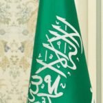 Saudi Arabia-China partnership entered a more mature phase: Experts