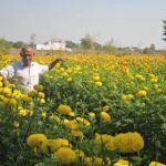 Samba farmer earns lakhs from floriculture, becomes symbol of modern farming