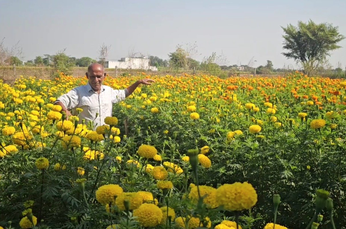 Samba farmer earns lakhs from floriculture, becomes symbol of modern farming