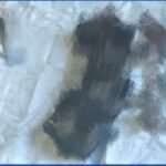 Weapons recovered in Jamui ahead of Bihar Assembly polls