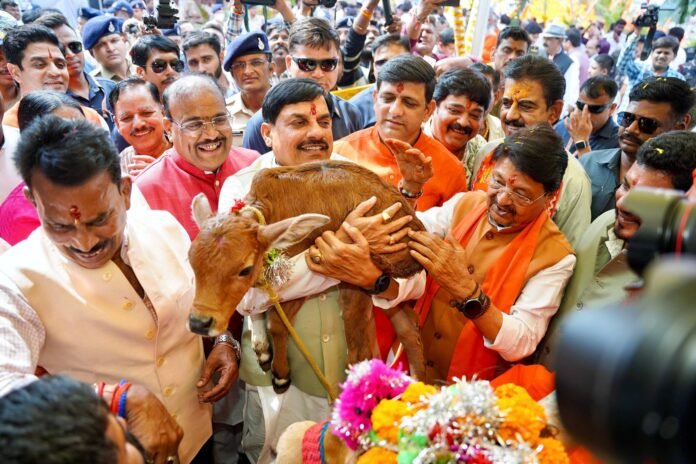 Cows always prefer to live among humans: MP CM on Govardhan Puja