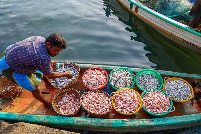 Union MoS George Kurian urges fisheries workers to register under Union MoS George Kurian urges fisheries workers to register under NFDP