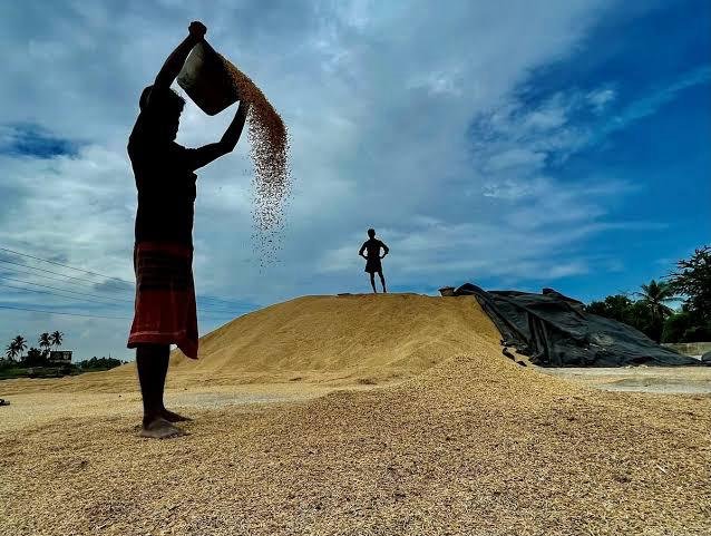 Paddy procurement rises sharply in TN, over 1.7 crore tonnes Paddy procurement rises sharply in TN, over 1.7 crore tonnes procured in four years