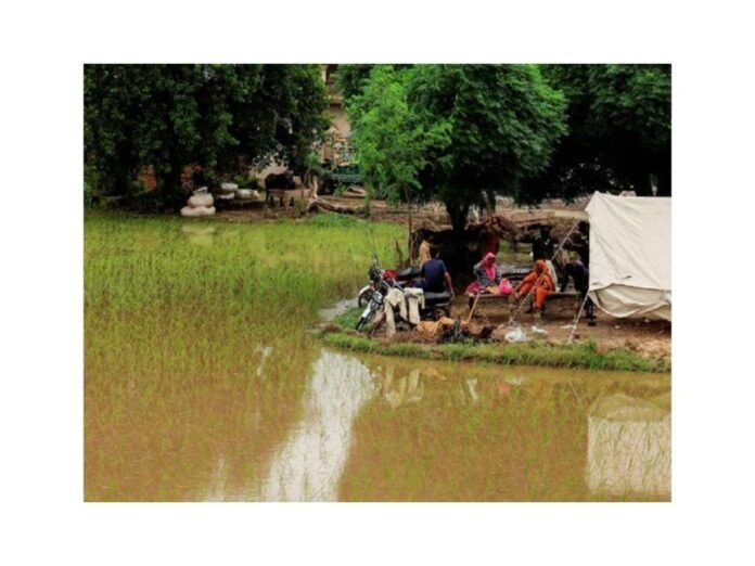 Death toll from floods climbs to 1006 in Pakistan Death toll from floods climbs to 1006 in Pakistan