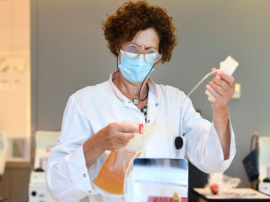 Research finds fat may secretly fuel Alzheimer's