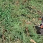 J-K: Anti-narcotics drive launched across South Kashmir