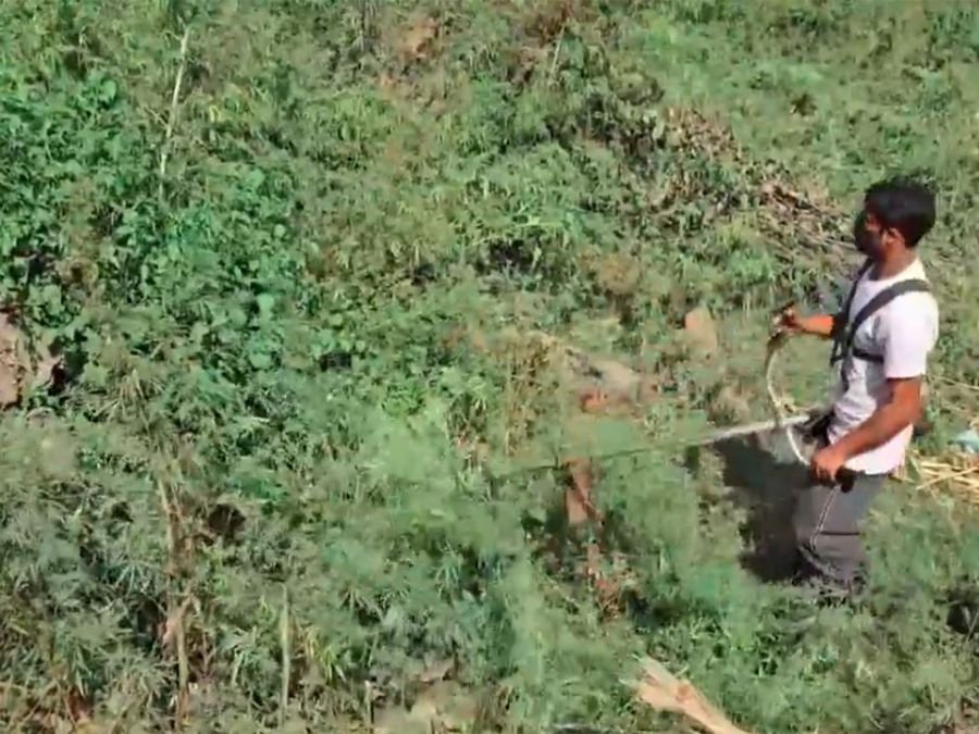 J-K: Anti-narcotics drive launched across South Kashmir 3 J-K: Anti-narcotics drive launched across South Kashmir