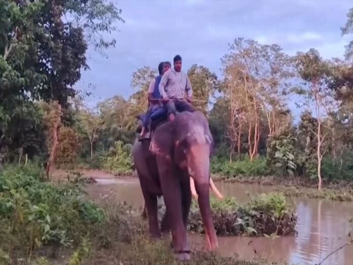 West Bengal: Wooden bridge collapses in Alipurdar's Jaldapara Forest, tourists rescued by elephants