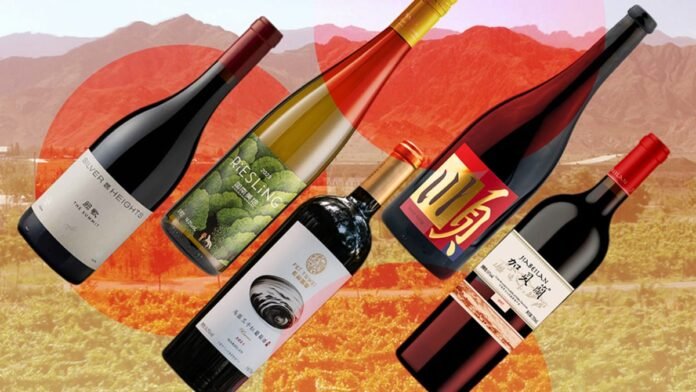 How Ningxia became one of China’s most acclaimed wine regions — and the world is taking notice
