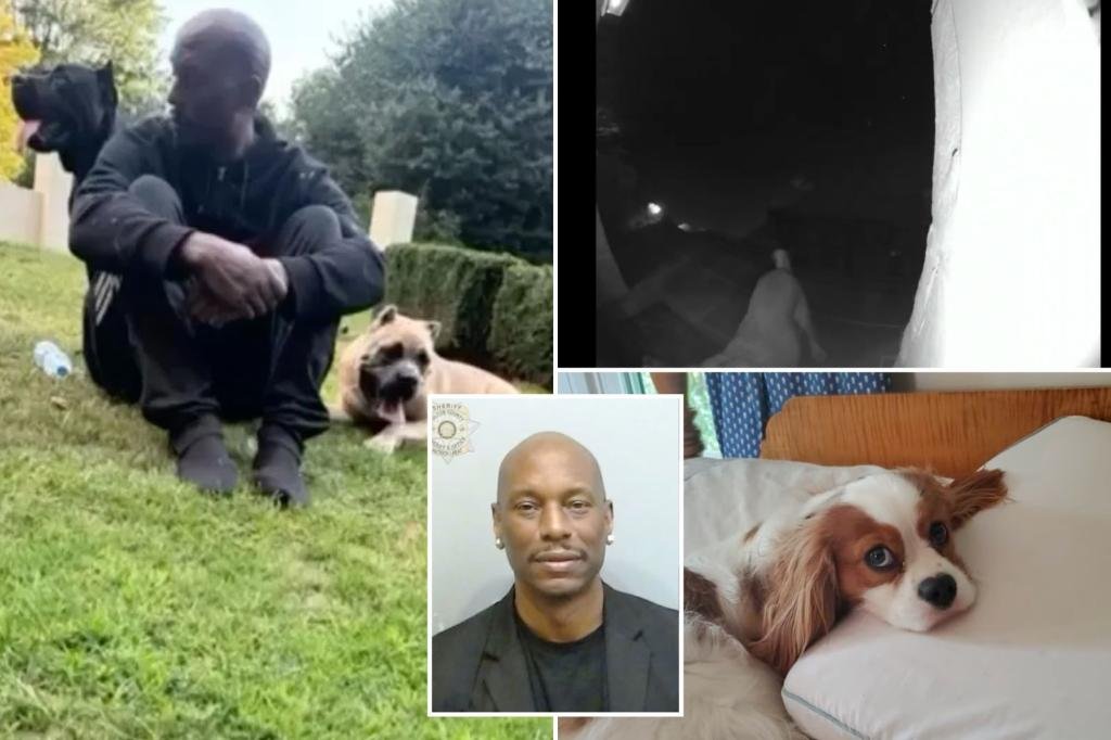 ‘Fast and Furious’ star Tyrese Gibson arrested after his dogs killed neighbor’s pooch outside Georgia home