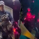 NYPD officers rescue missing dog from under NYC subway train