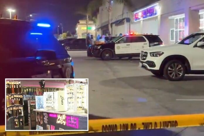 Customer shoots dead alleged creep who groped shopper, threatened to kill everyone inside LA beauty store