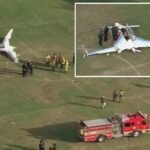 Woman struck by small plane that crashed into busy California park
