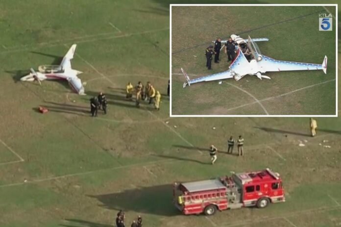 Woman struck by small plane that crashed into busy California park