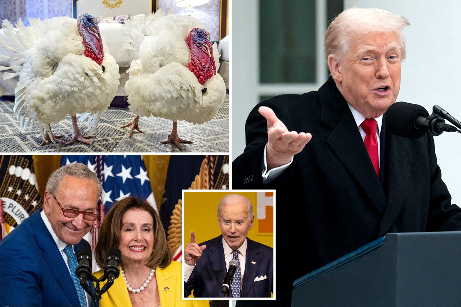 Trump re-pardons Biden turkeys in autopen jab — and jokes he considered naming this year’s birds ‘Chuck and Nancy’