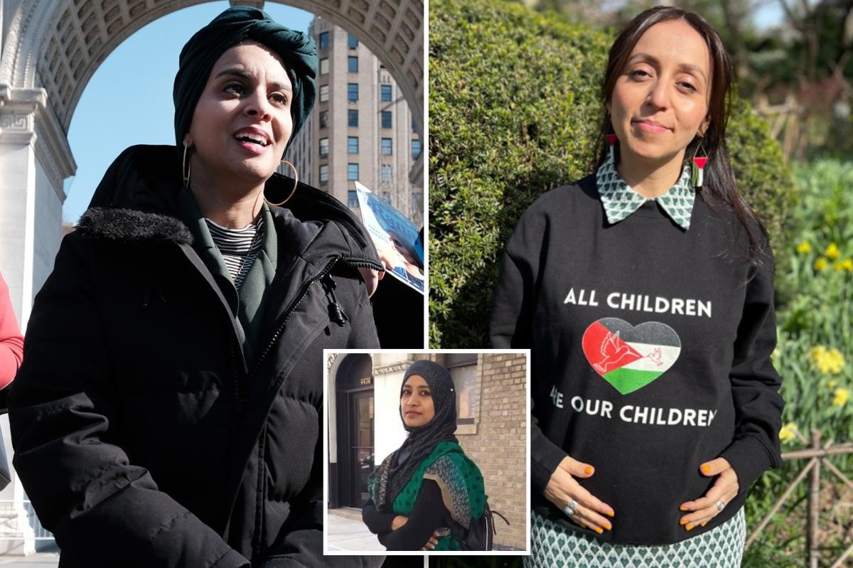 Three DSA members battling for Mamdani’s Albany seat even more to the left than he is