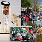 Qatar pumping tens of billions into universities to help Muslim Brotherhood weaken US, ‘destroy democracy’