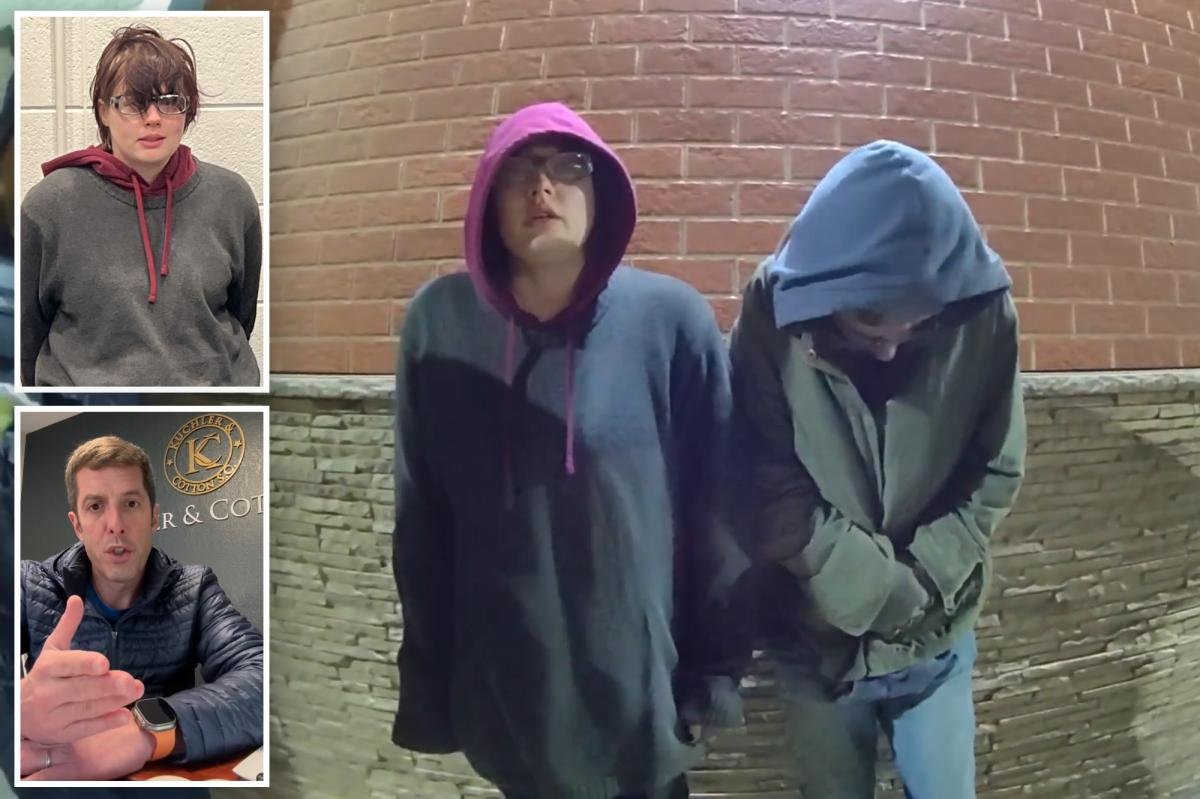 ‘Slender Man’ stabber Morgan Geyser’s decision to flee was ‘not well thought out’ and ‘impulsive’: defense attorney