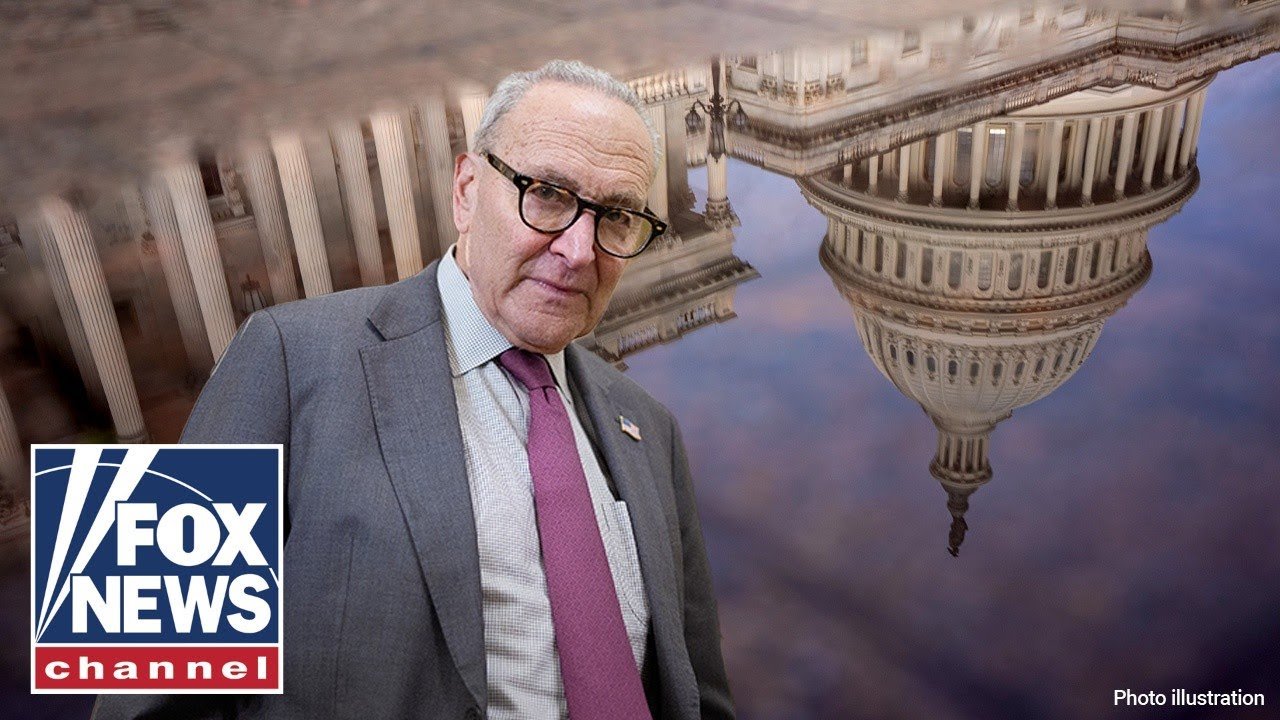 Democrats are using Americans as 'leverage' in shutdown, GOP lawmaker says (Video)