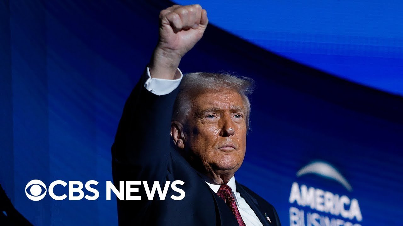 Legal experts on Trump tariffs case before Supreme Court (Video)