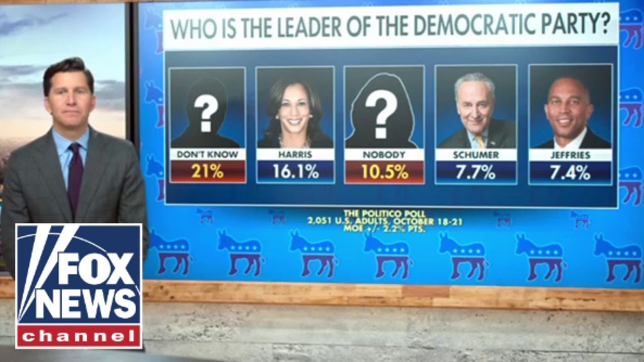 Who do Democrats think is their leader? (Video)