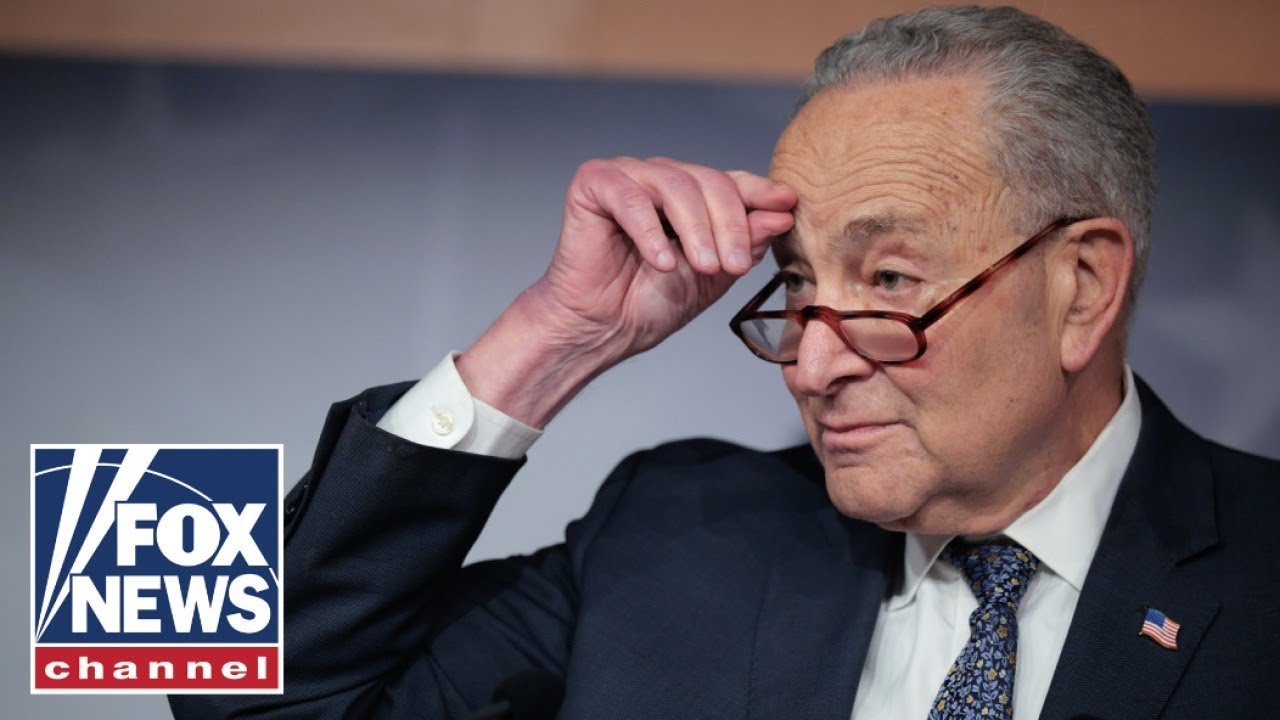 Dems will BREAK from Schumer, former House Speaker warns (Video)