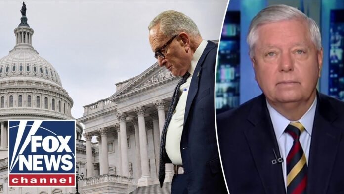 Lindsey Graham: This is BACKFIRING on the Dems (Video)