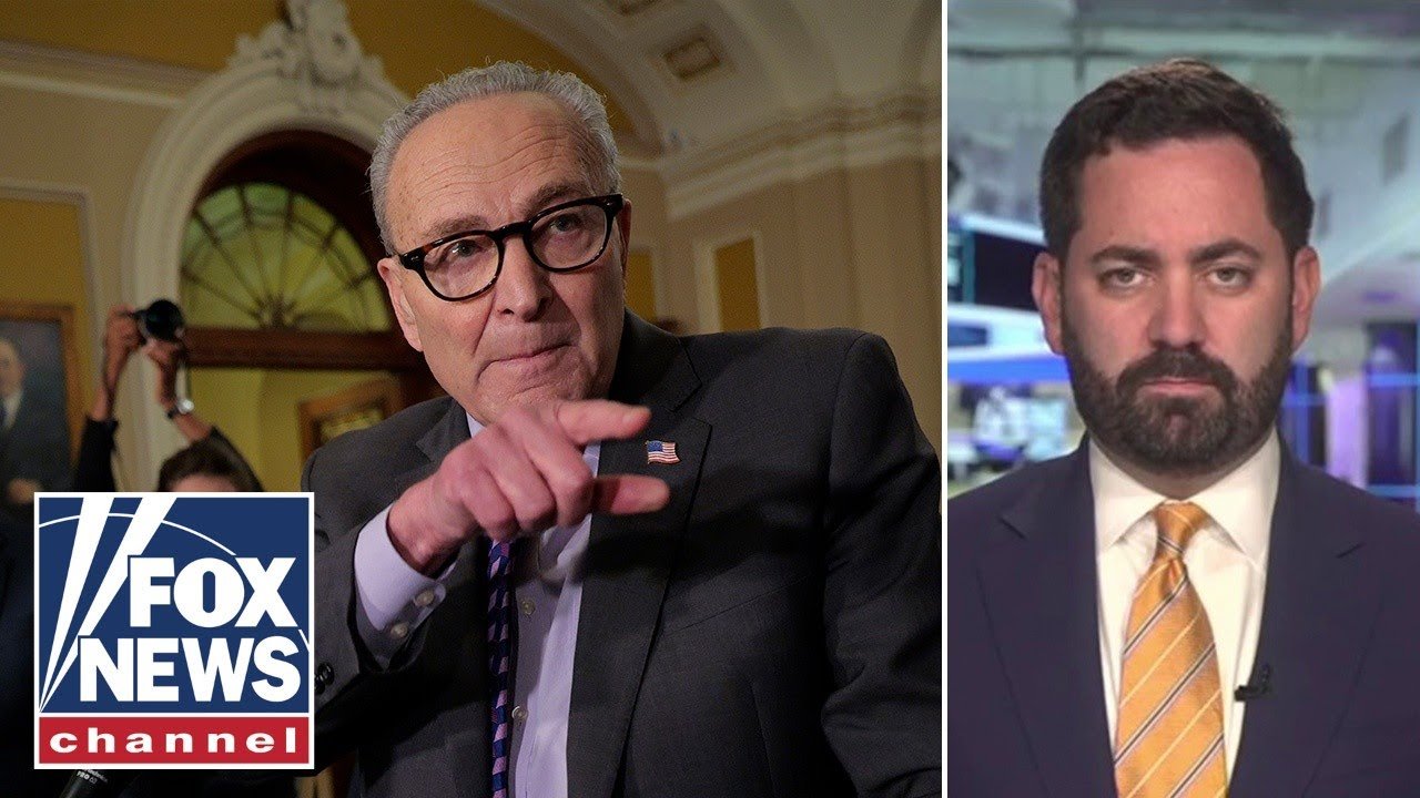 ‘Outrageous’: GOP rep slams Dems for using Americans as 'leverage’ (Video)