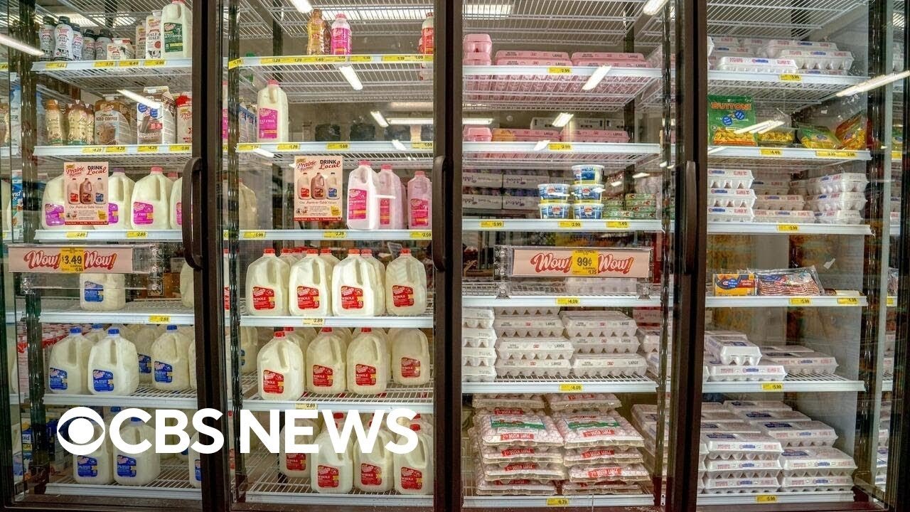 Trump administration claims prices are leveling off (Video)