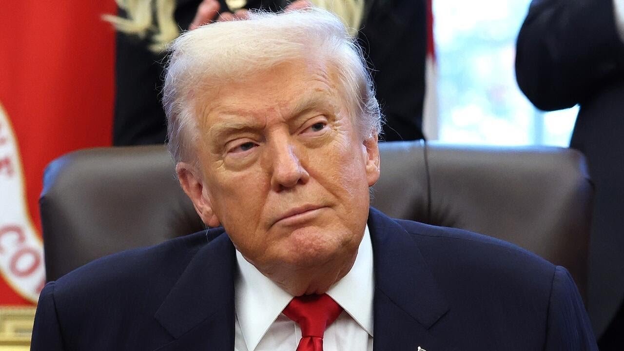 Trump proposes tariff rebate checks in wake of Democratic election victories (Video)