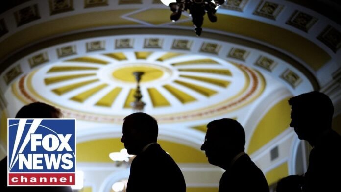 WATCH: Senate votes on government funding deal to end shutdown (Video)