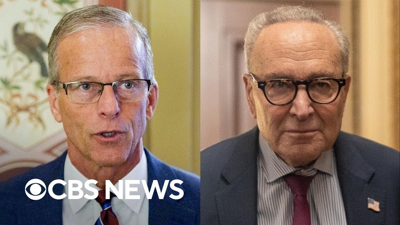 Senate moving forward with deal to end government shutdown (Video)