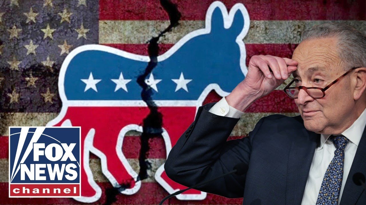 Dems 'IMPLODE' after shutdown loss, turning fire on Chuck Schumer (Video)