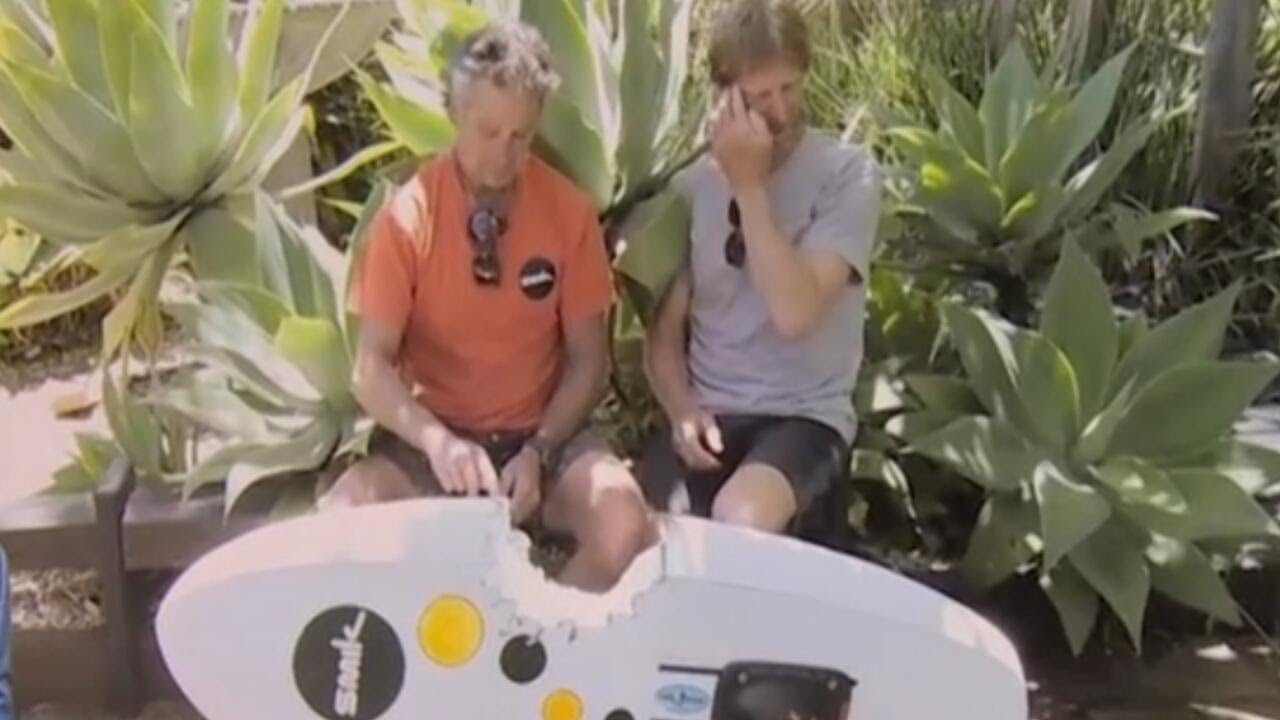 Watch: Australian windsurfer survives vicious shark attack (Video)