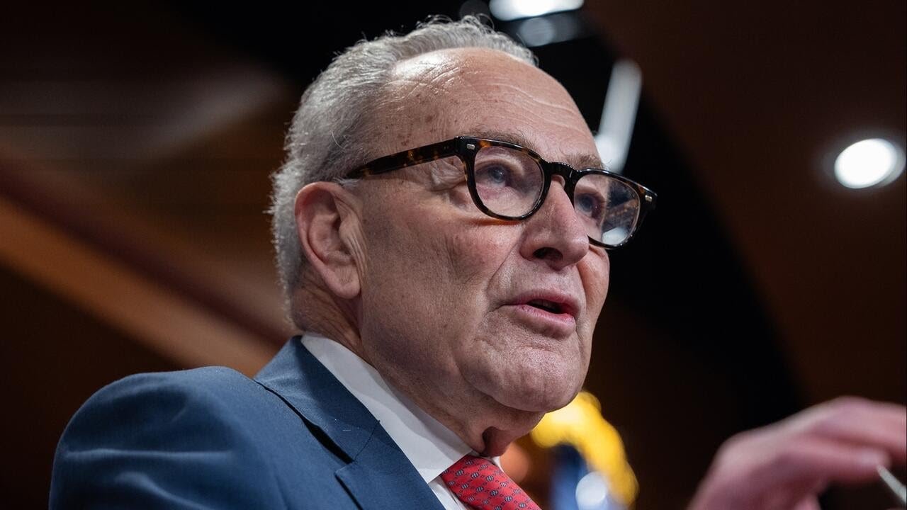 Democratic strategist on shutdown deal: "You can't yo-yo your base" (Video)