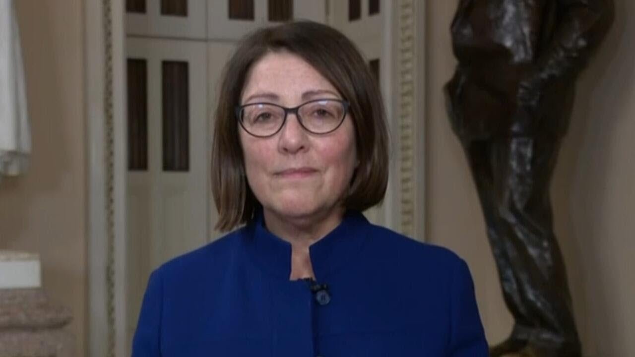 Rep. Suzan DelBene says "Democrats are standing up" (Video)