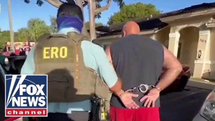 ‘Operation Dirtbag’ in full effect: ICE arrests illegal sexual predators (Video)