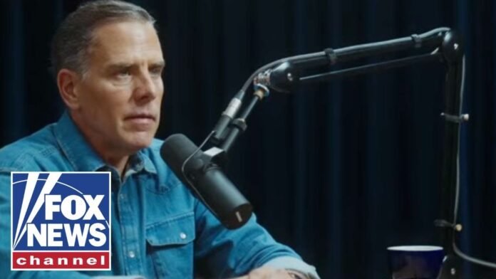 Hunter Biden is ‘applying the logic of his experience as a crack addict,’ columnist says (Video)