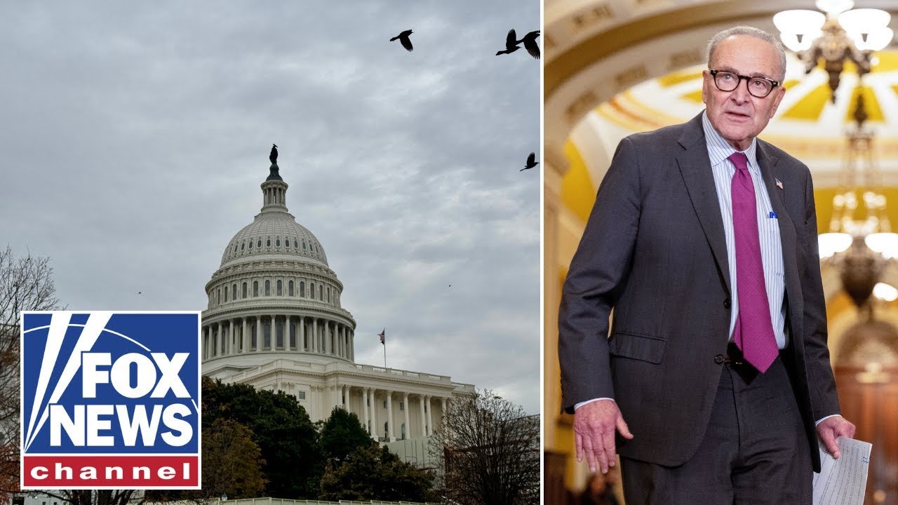 'There are no winners': The aftermath of America’s longest government shutdown (Video)