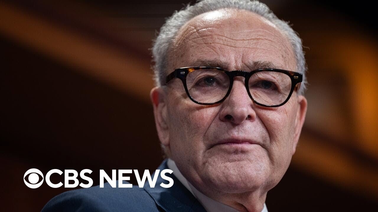 Senate agrees to pass Epstein files bill as soon as it arrives (Video)