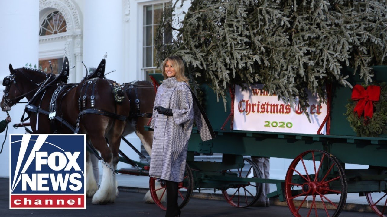 WATCH LIVE: First lady Melania Trump welcomes White House Christmas Tree (Video)