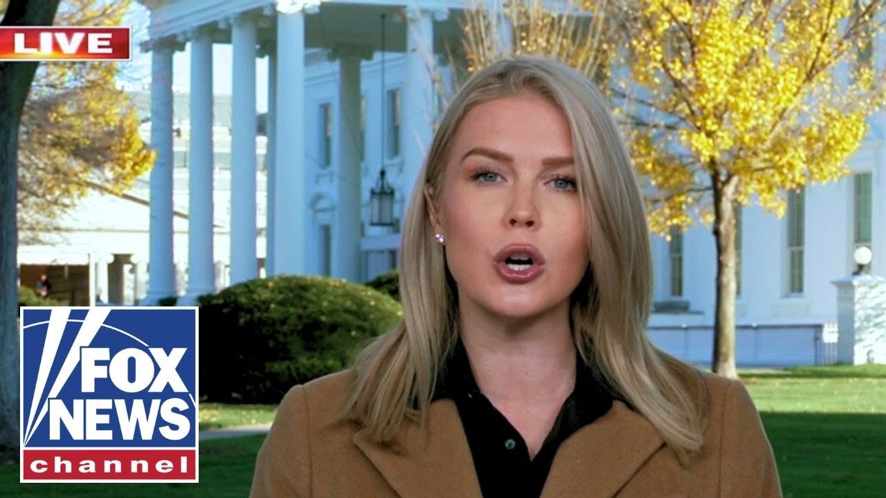 Karoline Leavitt puts Dems on BLAST (Video)