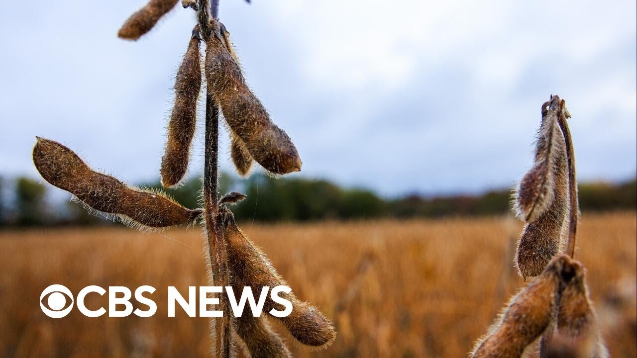 Farmer aid package could be announced within 2 weeks, USDA head says (Video) 9 Farmer aid package could be announced within 2 weeks, USDA head says (Video)