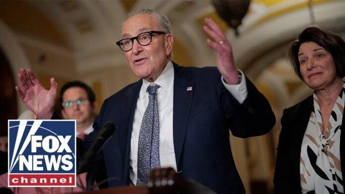 Schumer up against ‘FIGHT CLUB’ of influential Democrats (Video)