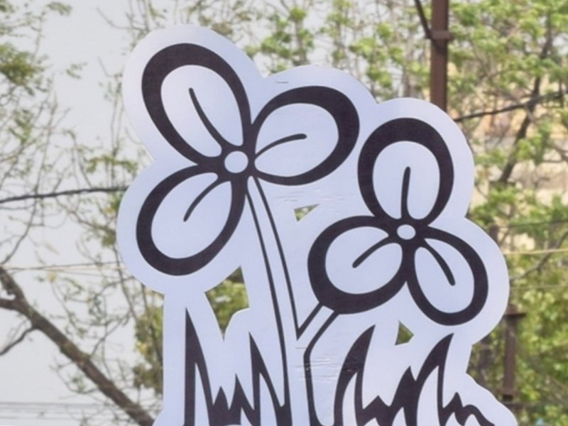 Trinamool plans mega anti-SIR rally in Kolkata on day one of 1st stage of revision exercise 1 Trinamool plans mega anti-SIR rally in Kolkata on day one of 1st stage of revision exercise