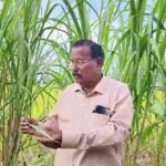 Chhattisgarh farmer honoured with Khubchand Baghel Krishak Ratna award for organic innovation