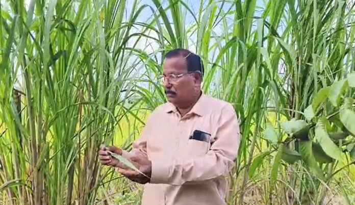 Chhattisgarh farmer honoured with Khubchand Baghel Krishak Ratna award for organic innovation