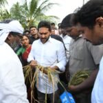 Jagan visits cyclone-hit areas, demands crop insurance for all farmers