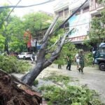 Typhoon Kalmaegi leaves five dead in central Vietnam