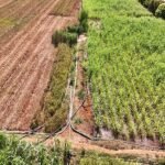 Gujarat's Lift Pipeline tech boosts irrigation across 1.39 lakh acres in tribal belt